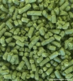 Lúpulo Ariana 50g safra 2019 - 10 unidades