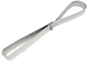 Descamador Escamador de Peixe Inox Especial