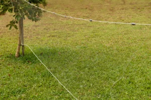 Rede Pesca Redinha Malha 2,0 - 05 mts
