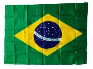 Bandeira Brasil 80X60Cm