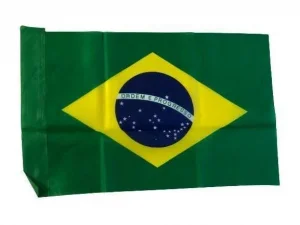 12 Bandeiras do Brasil 60X40 Cm
